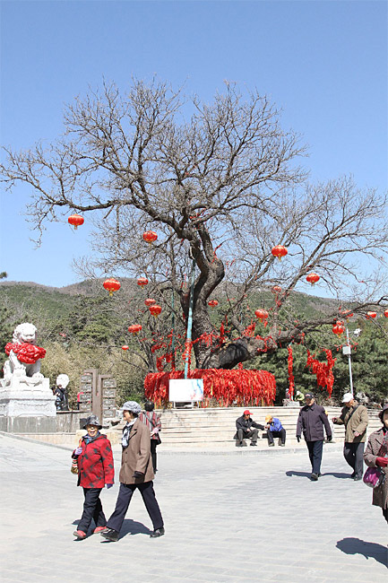 Пекин, Парк Бадачу, Храм Небесного Света, По дороге к храму (Beijing, Badachu Park, Temple of Divine Light, On the way to the temple)