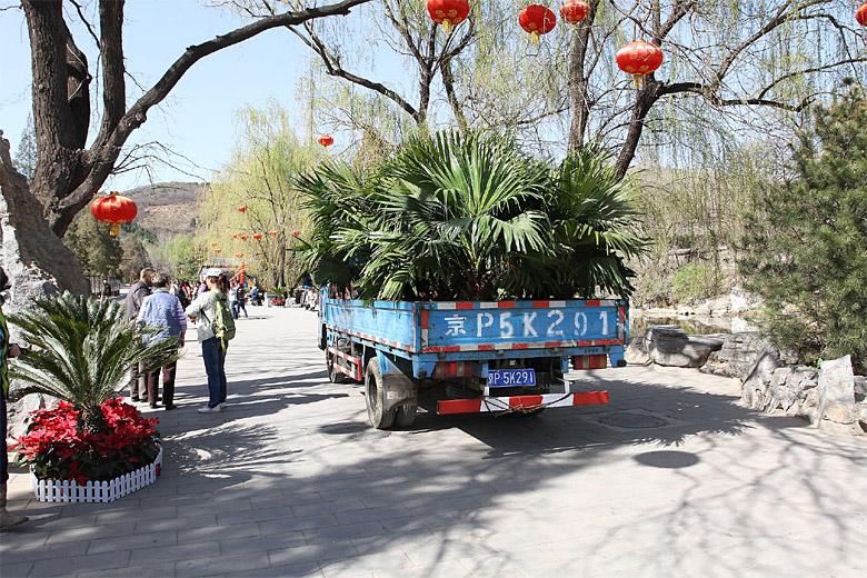 Пекин, Парк Бадачу, Храм Небесного Света, Около входа в парк (Beijing, Badachu Park, Temple of Divine Light, Near entrance to the park)
