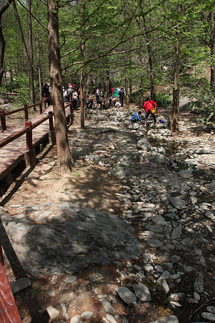 Пекин, Ботанический Сад, Вишневая Долина (Beijing, Beijing Botanical Garden, Cherry Valley)