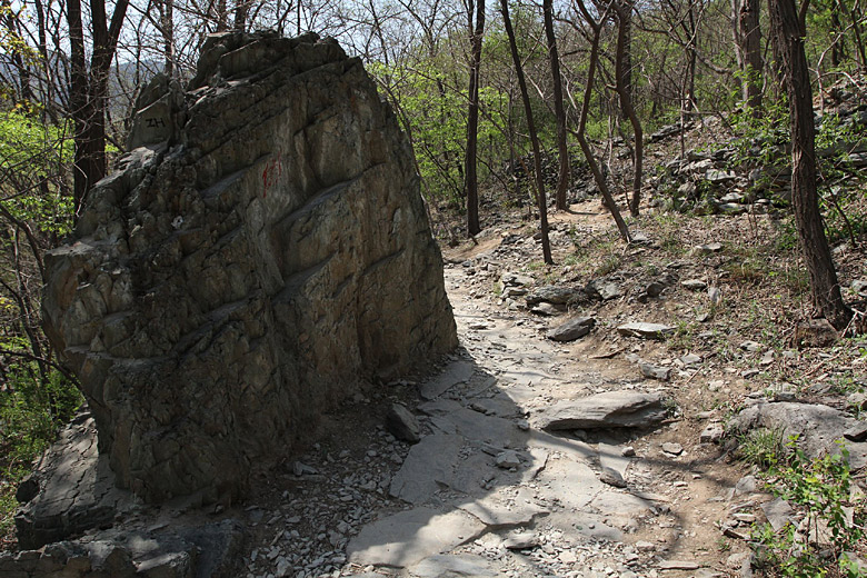 Пекин, Ботанический Сад, Вишневая Долина (Beijing, Beijing Botanical Garden, Cherry Valley)