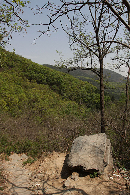 Пекин, Ботанический Сад, Вишневая Долина (Beijing, Beijing Botanical Garden, Cherry Valley)