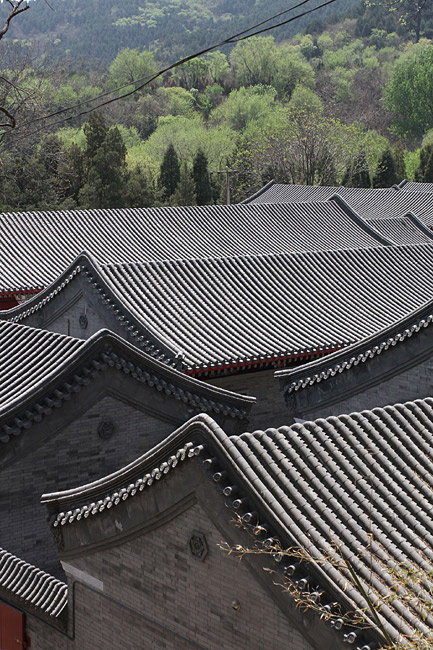 Пекин, Ботанический Сад, Вишневая Долина (Beijing, Beijing Botanical Garden, Cherry Valley)