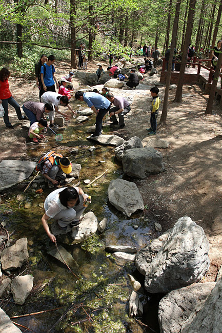 Пекин, Ботанический Сад, Вишневая Долина (Beijing, Beijing Botanical Garden, Cherry Valley)