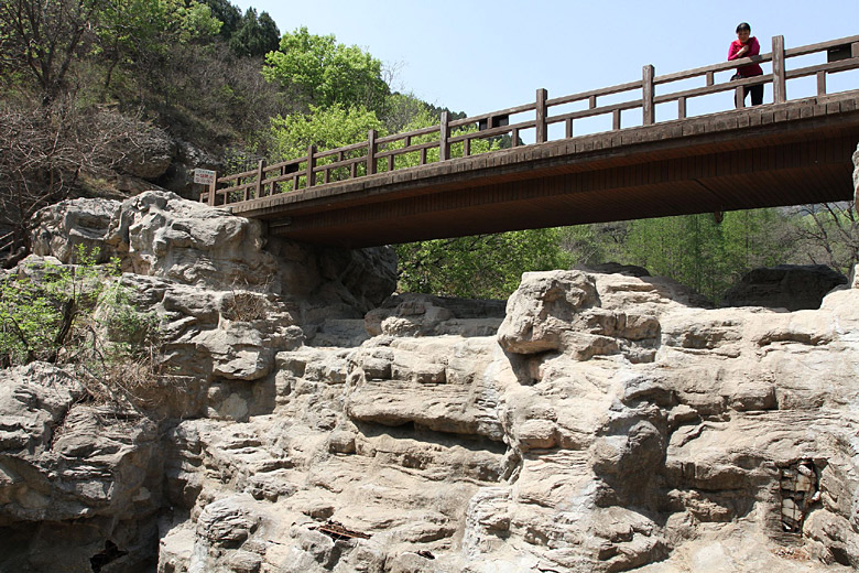 Пекин, Ботанический Сад, Вишневая Долина (Beijing, Beijing Botanical Garden, Cherry Valley)