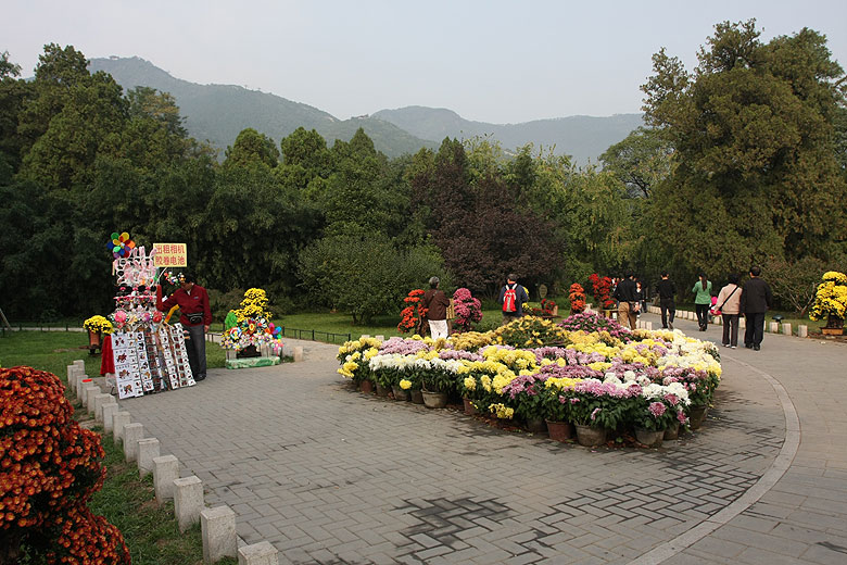 Пекин, Парк Ароматных Холмов, Рядом с Садом Знать о Сосне (Beijing, Fragrant Hills Park, Near the Zhisongyuan Garden)