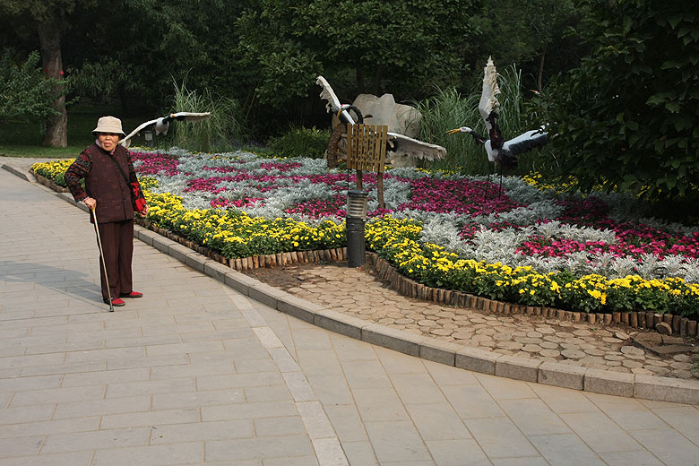 Пекин, Парк Ароматных Холмов, Рядом с Садом Знать о Сосне (Beijing, Fragrant Hills Park, Near the Zhisongyuan Garden)