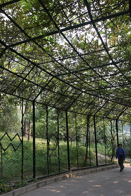 Пекин, Парк Ароматных Холмов, По дороге к Озеру Очков (Beijing, Fragrant Hills Park, The way to the Spectacles Lake)