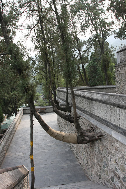 Пекин, Парк Ароматных Холмов, Вилла Нефритового Цветка (Beijing, Fragrant Hills Park, Jade Flower Villa)