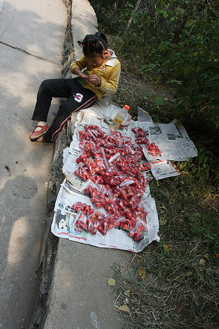 Пекин, Парк Ароматных Холмов, На дорожках Ароматных Холмов (Beijing, Fragrant Hills Park)