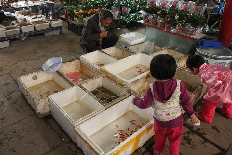 Пекин, Район Шичахай, Рынок Сыхуань (Beijing, Shichahai, Sihuan Market)