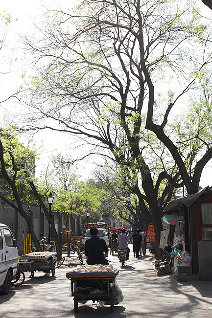 Пекин, Район Шичахай, Улица Наньлогу, Хутун Фанчжуаньчан (Beijing, Shichahai, Nanluogu Xiang, Fangzhuanchang Hutong)
