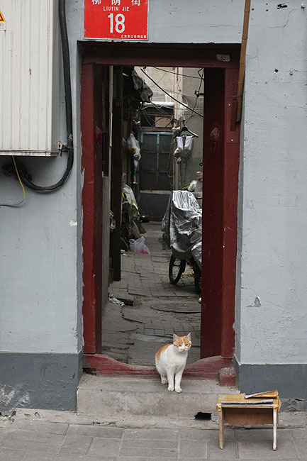 Пекин, Район Шичахай, На улице Люинь (Beijing, Shichahai, Liuyin Street)