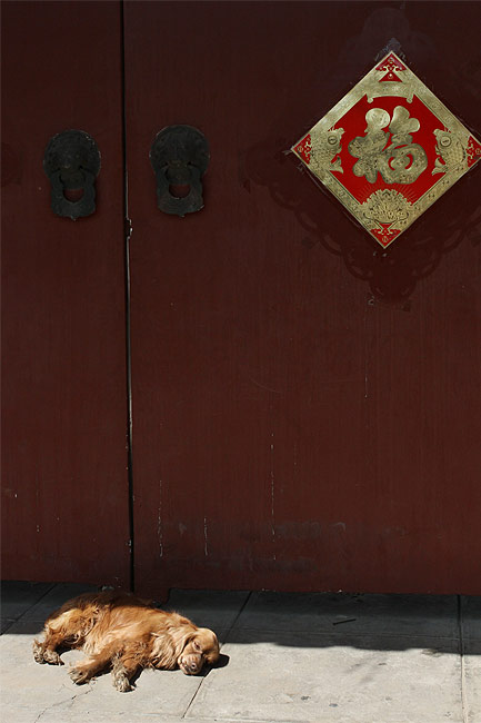 Пекин, Район улицы Наньлогу, Хутун Юэр (Beijing, Nanluogu Alley Area, Yu'er Hutong)