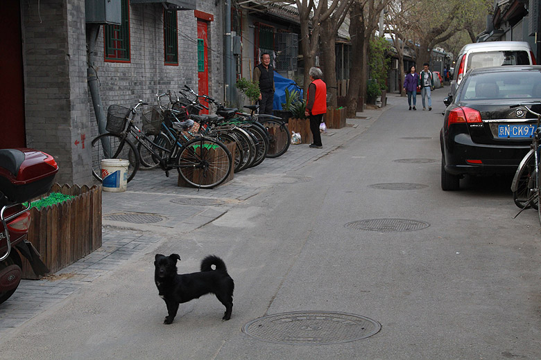 Пекин, Район улицы Наньлогу, Хутун Шацзин (Beijing, Nanluogu Alley Area, Shajing Hutong)