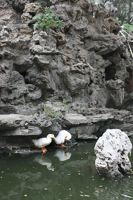 Пекин, Особняк Принца Гуна, Скала Нефритовых Капель (Beijing, Prince Gong's Mansion, Dripping Green Rockery)