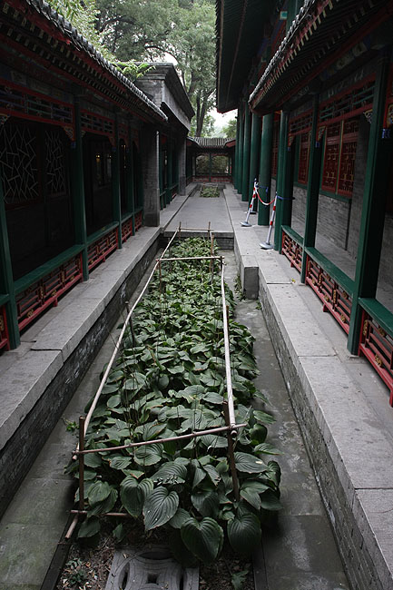 Пекин, Особняк Принца Гуна, Коридоры около Большого Театра (Beijing, Prince Gong's Mansion, Corridors near the Grand Theater)