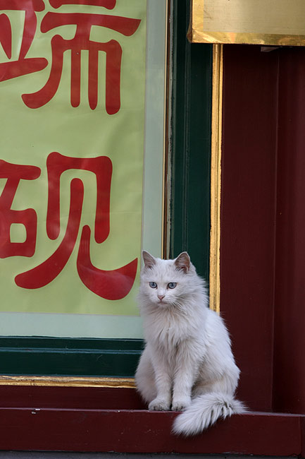 Пекин, Улица Люличан (Beijing, Liulichang Cultural Street)