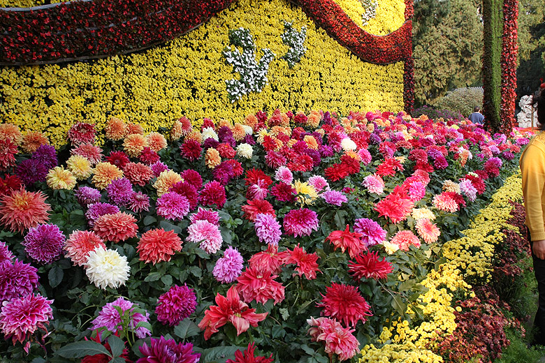 Пекин, Парк Чжуншань (Beijing, Zhongshan Park)