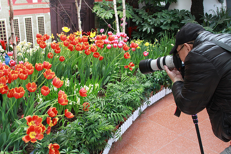Пекин, Парк Чжуншань (Beijing, Zhongshan Park)