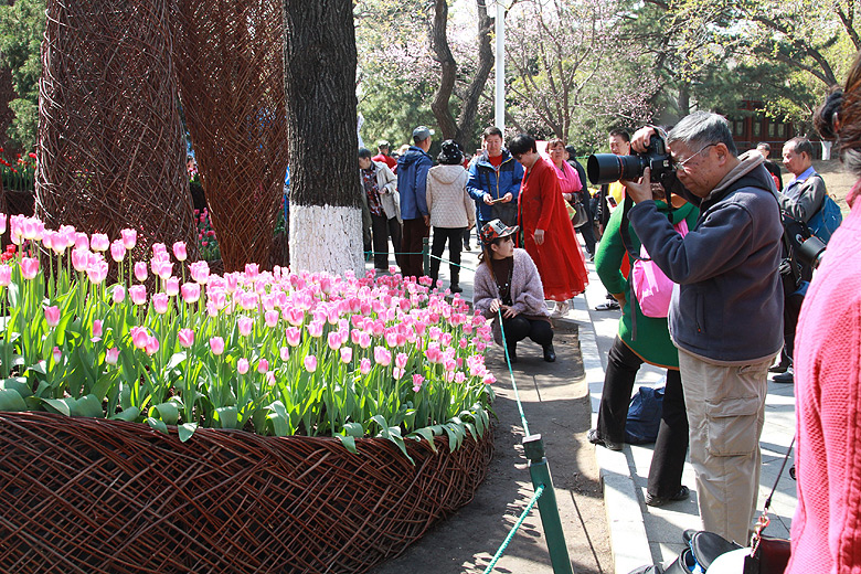 Пекин, Парк Чжуншань (Beijing, Zhongshan Park)