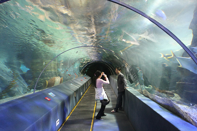 Пекин, Пекинская телебашня, Подводный туннель (Beijing, China Central Television Tower, Underwater tunnel)