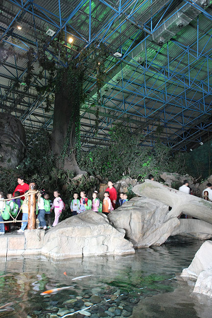 Пекин, Пекинский Зоопарк, Пекинский Аквариум (Beijing, Beijing Zoo, Beijing Aquarium)
