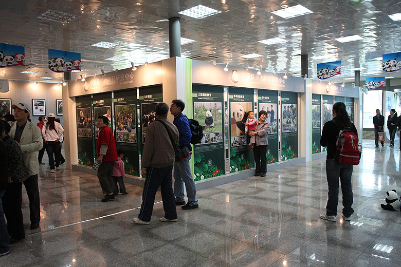 Пекин, Пекинский Зоопарк, Дом Гиганской Панды (Beijing, Beijing Zoo, House of Giant Panda)