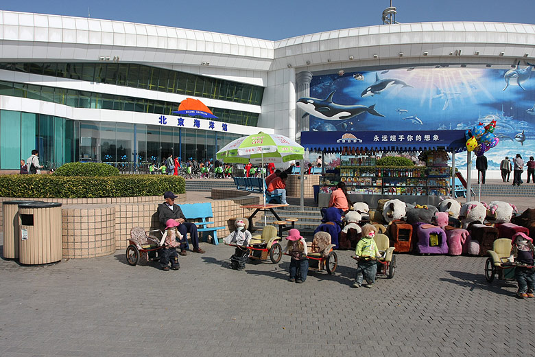 Пекин, Пекинский Зоопарк, Пекинский Аквариум (Beijing, Beijing Zoo, Beijing Aquarium)