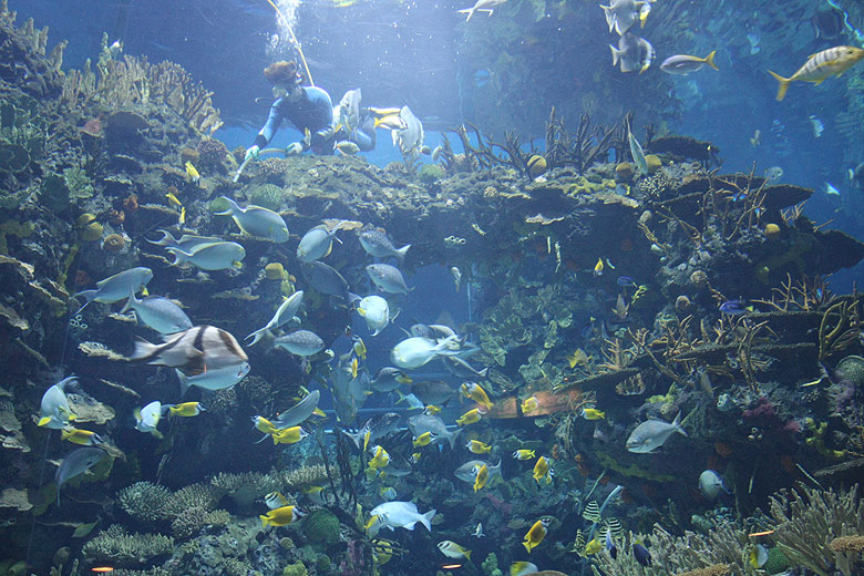 Пекин, Пекинский Зоопарк, Пекинский Аквариум (Beijing, Beijing Zoo, Beijing Aquarium)