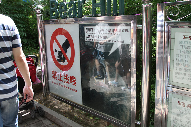 Пекин, Пекинский Зоопарк, Не кормите медведей (Beijing, Beijing Zoo, Don't feed the bears)