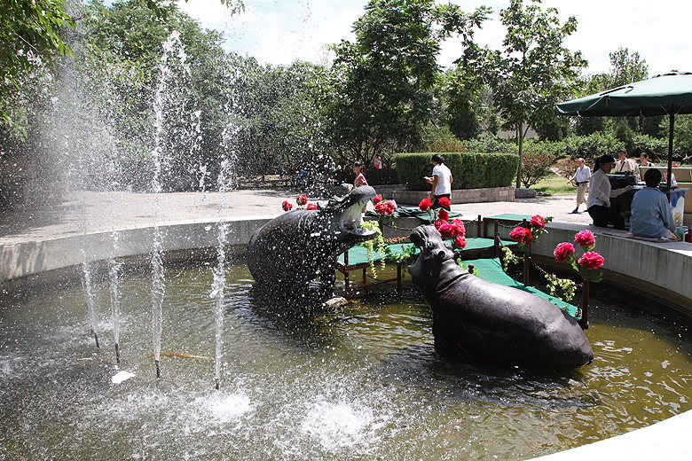 Пекин, Пекинский Зоопарк, Секция бегемотов и носорогов (Beijing, Beijing Zoo, Hippopotamus and Rhinoceros Area)