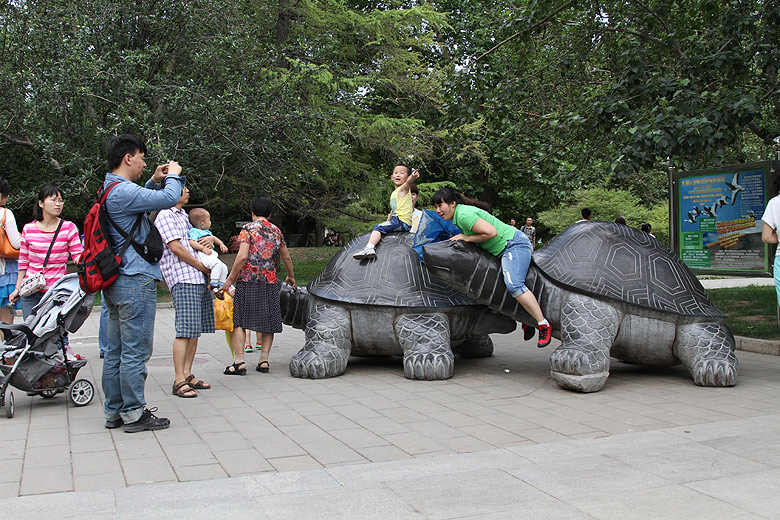 Пекин, Пекинский Зоопарк, Секция рептилий (Beijing, Beijing Zoo, Reptiles Area)