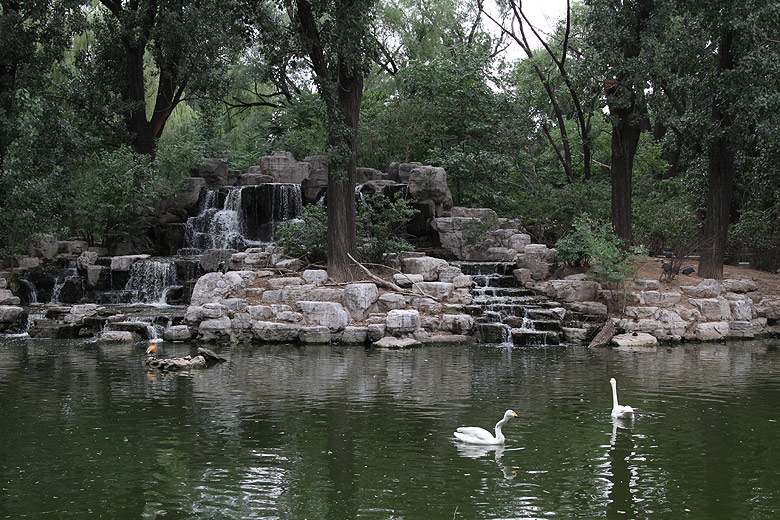 Пекин, Пекинский Зоопарк, Озеро водоплавающих (Beijing, Beijing Zoo, Lake of the waterfowl)